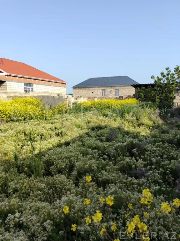 Satılır, torpaq
