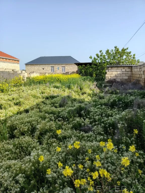 Satılır, torpaq