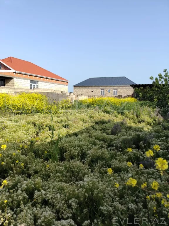 Satılır, torpaq