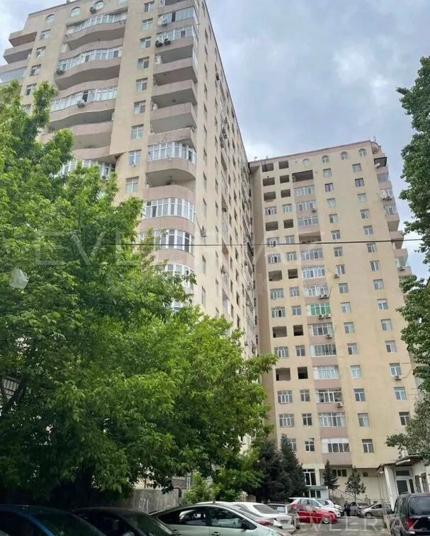 Aylıq, yeni tikili