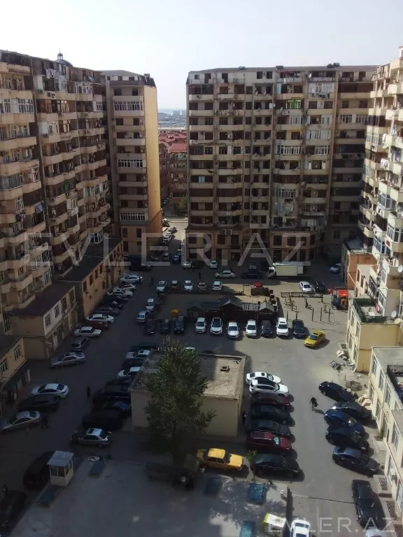 Aylıq, yeni tikili