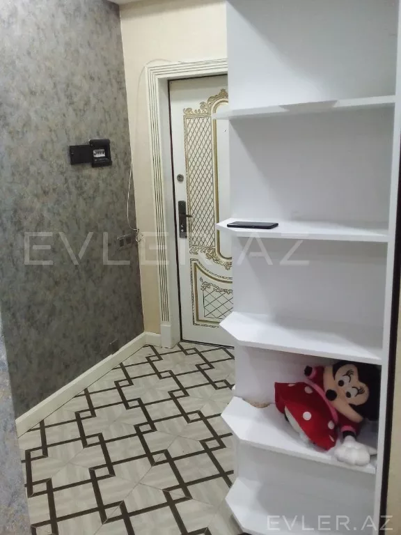 Aylıq, yeni tikili
