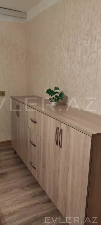 Aylıq, yeni tikili