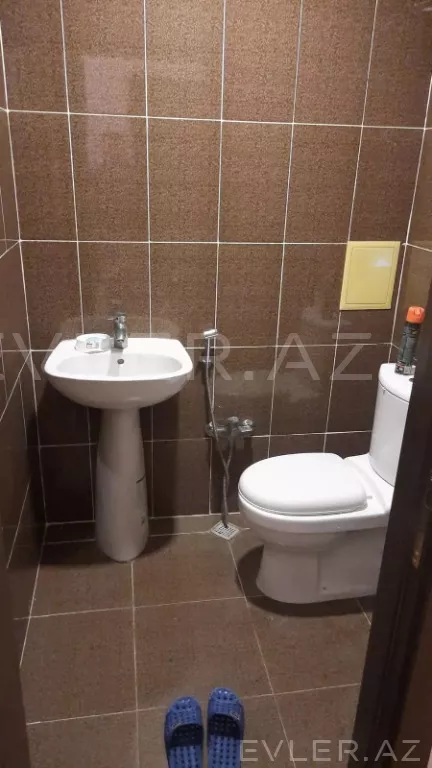 Aylıq, yeni tikili
