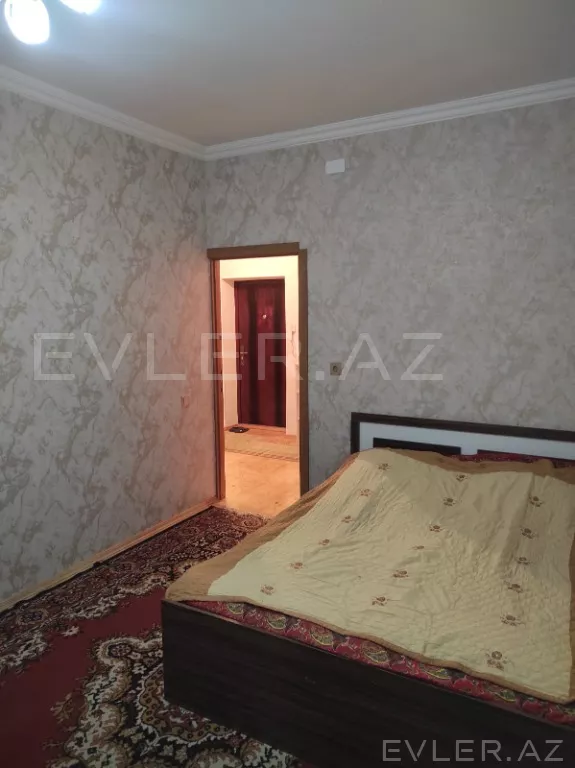 Aylıq, yeni tikili