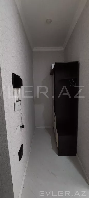 Aylıq, yeni tikili