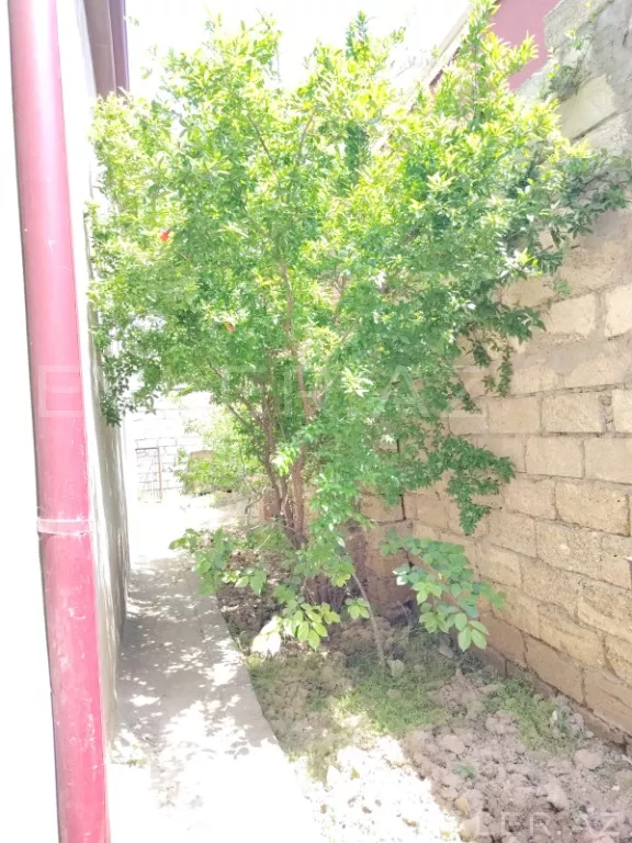 Satılır, həyət evi/villa