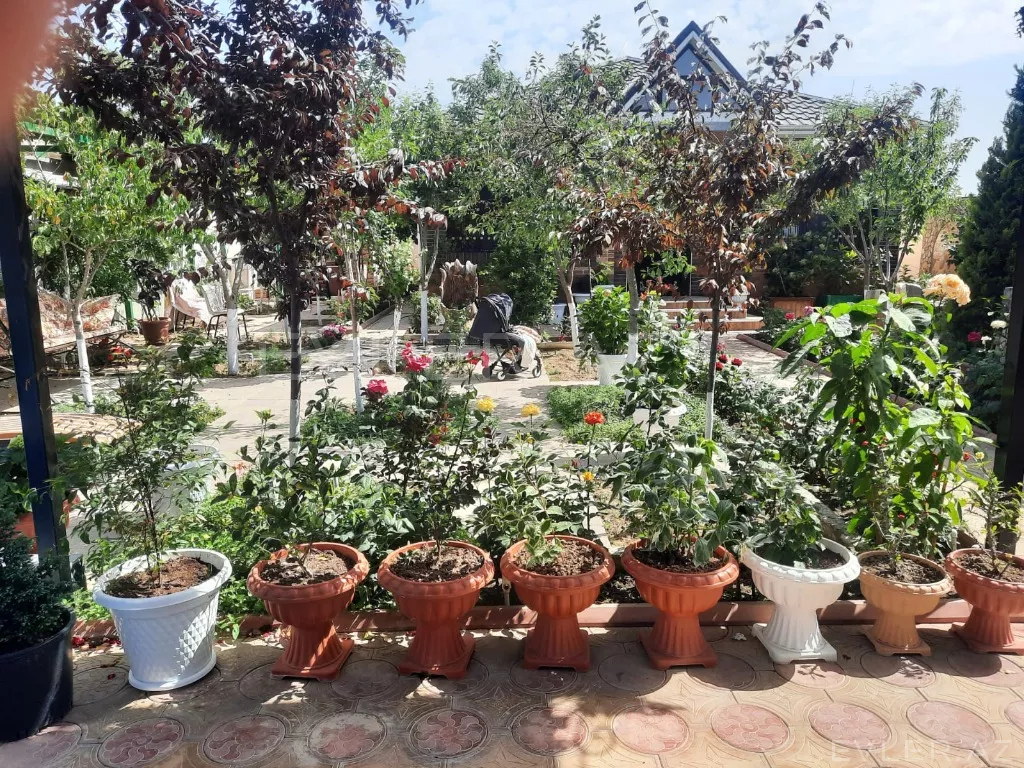 Aylıq, həyət evi/villa