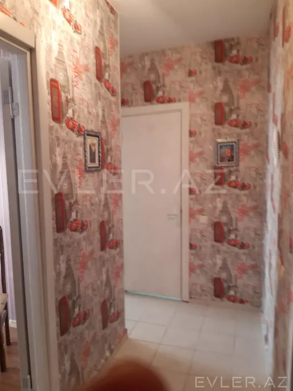 Aylıq, yeni tikili