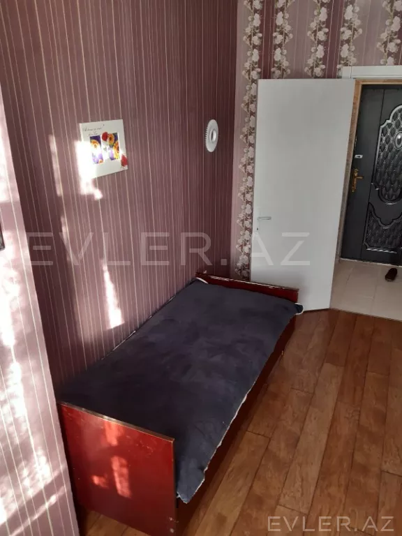 Aylıq, yeni tikili