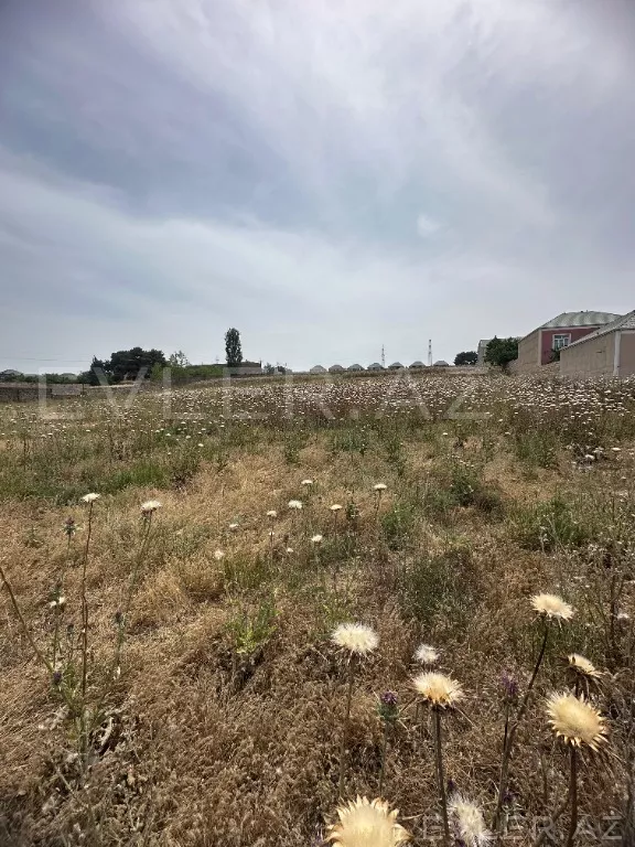 Satılır, torpaq